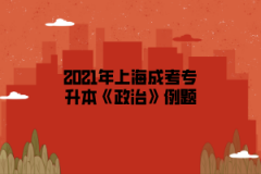 2021年上海成考专升本《政治》例题（3）