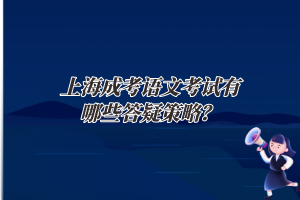 上海成考语文考试有哪些答疑策略？