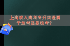 上海成人高考专升本是属于统考还是校考？
