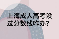 上海成人高考没过分数线咋办？