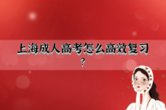 上海成人高考怎么高效复习？