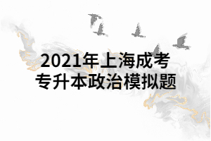 2021年上海成考专升本政治模拟题