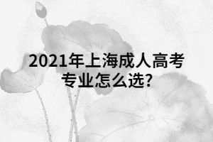 2021年上海成人高考专业怎么选?