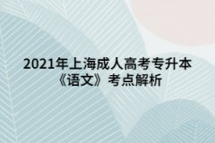 2021年上海成人高考专升本《语文》考点解析