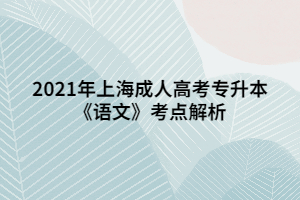 2021年上海成人高考专升本《语文》考点解析