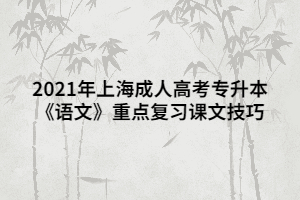 2021年上海成人高考专升本《语文》重点复习课文技巧