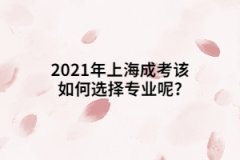 2021年上海成考该如何选择专业呢?