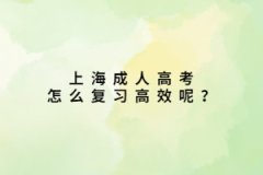 上海成人高考怎么复习高效呢？