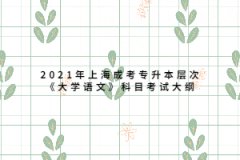 2021年上海成考专升本层次《大学语文》科目考试大纲