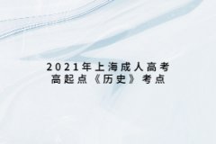 2021年上海成人高考高起点《历史》考点：中外交流