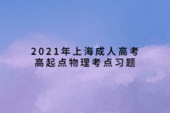 2021年上海成人高考高起点物理考点习题：力学