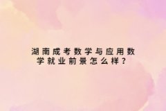 上海成考数学与应用数学就业前景怎么样？