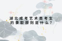 上海成考艺术类考生的录取原则是什么?