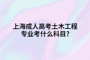 上海成人高考土木工程专业考什么科目?